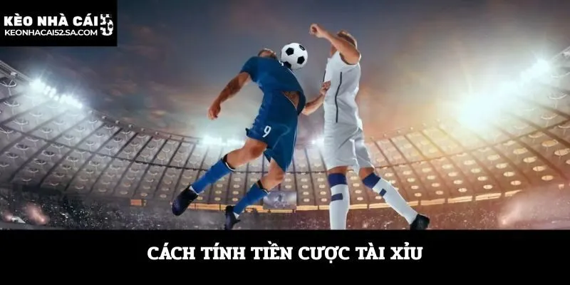 Cách tính tiền cược tài xỉu