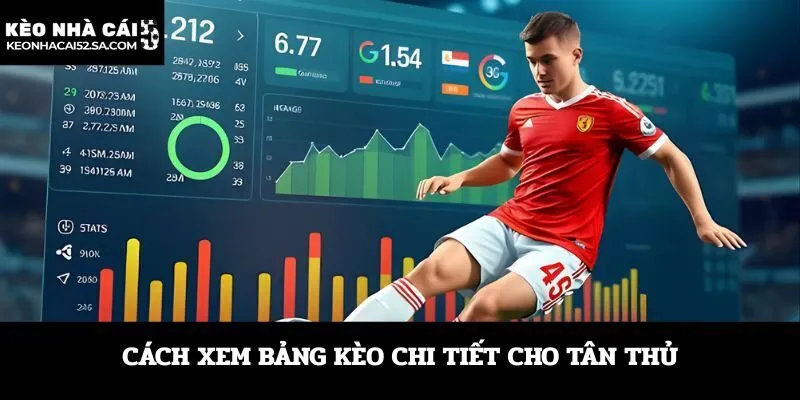 Cách xem bảng kèo chi tiết cho tân thủ