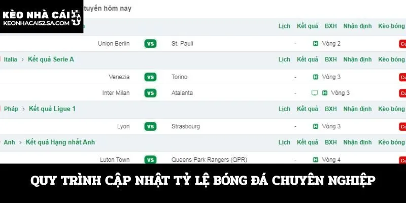 Quy trình cập nhật tỷ lệ bóng đá chuyên nghiệp