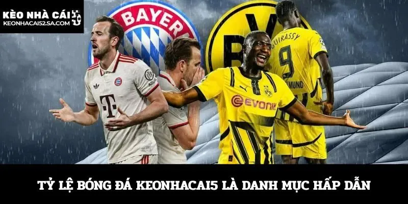 Tỷ lệ bóng đá được phân tích chi tiết